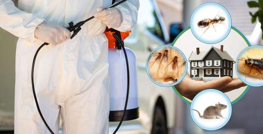 Kozan Böcek İlaçlama