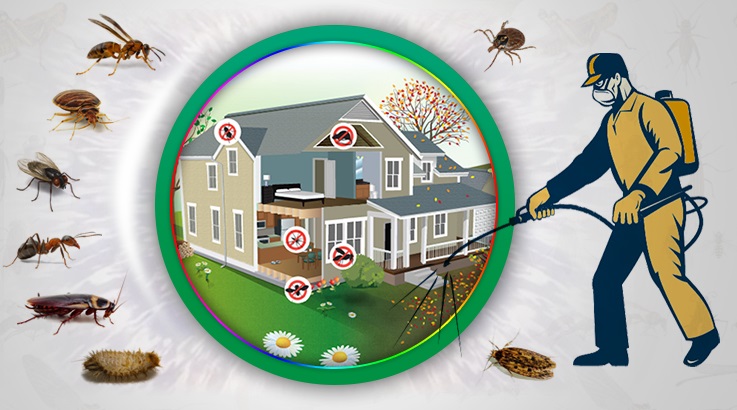 Kozan Böcek İlaçlama