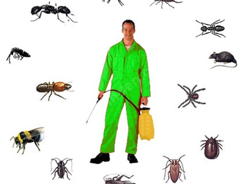 Kozan Böcek İlaçlama